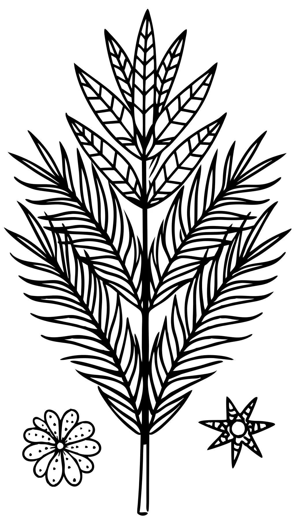 coloring page palm leaf